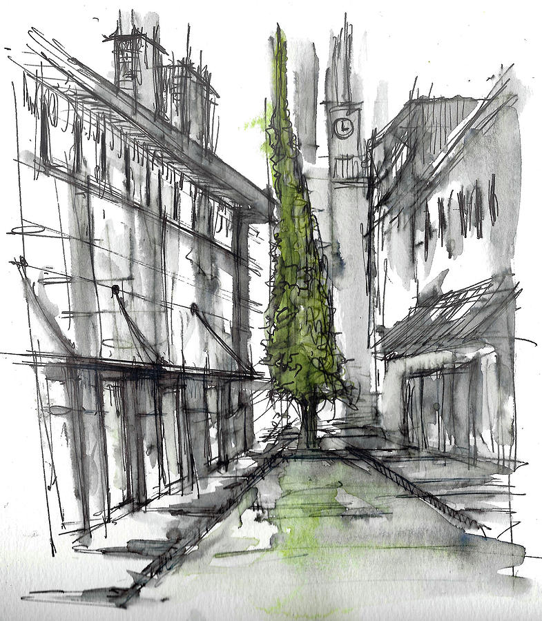 Tree in the City - White Background Drawing by Jason Nicholas