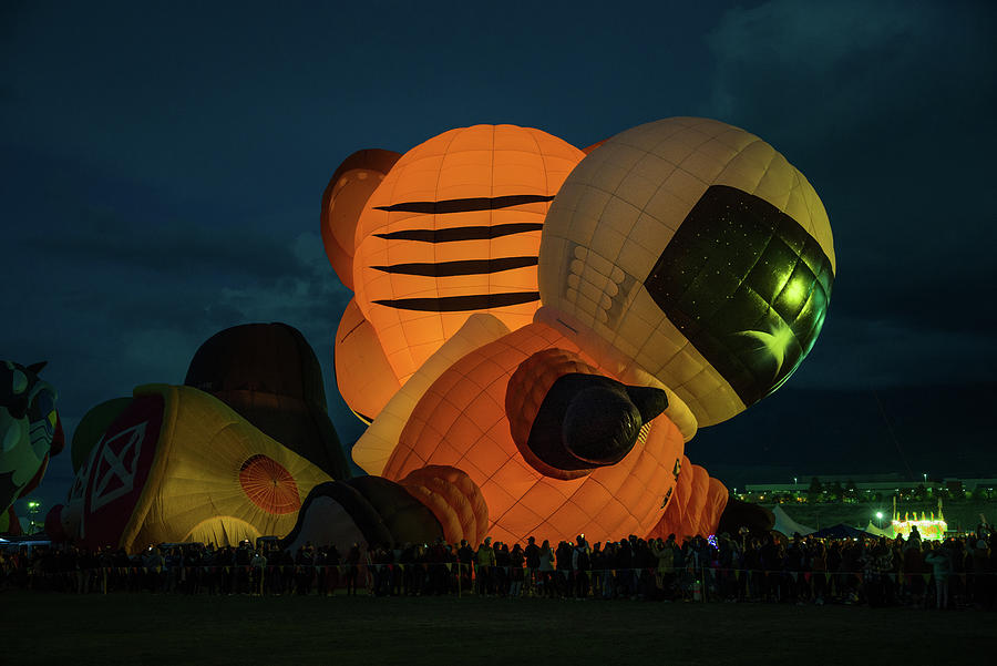 Up Movie Digital Art - Cityscapes  Spaceman Albuquerque  International Balloon Fiesta NM P10h by Otri Park