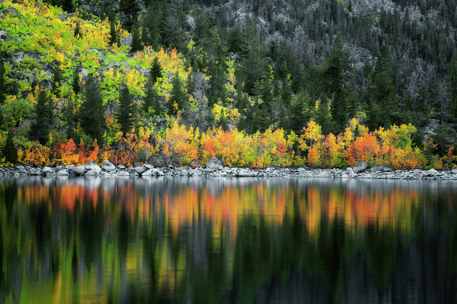 Tree Photograph - Civil twilight glow on autumn colors at Lake Sabrina. by Larry Geddis