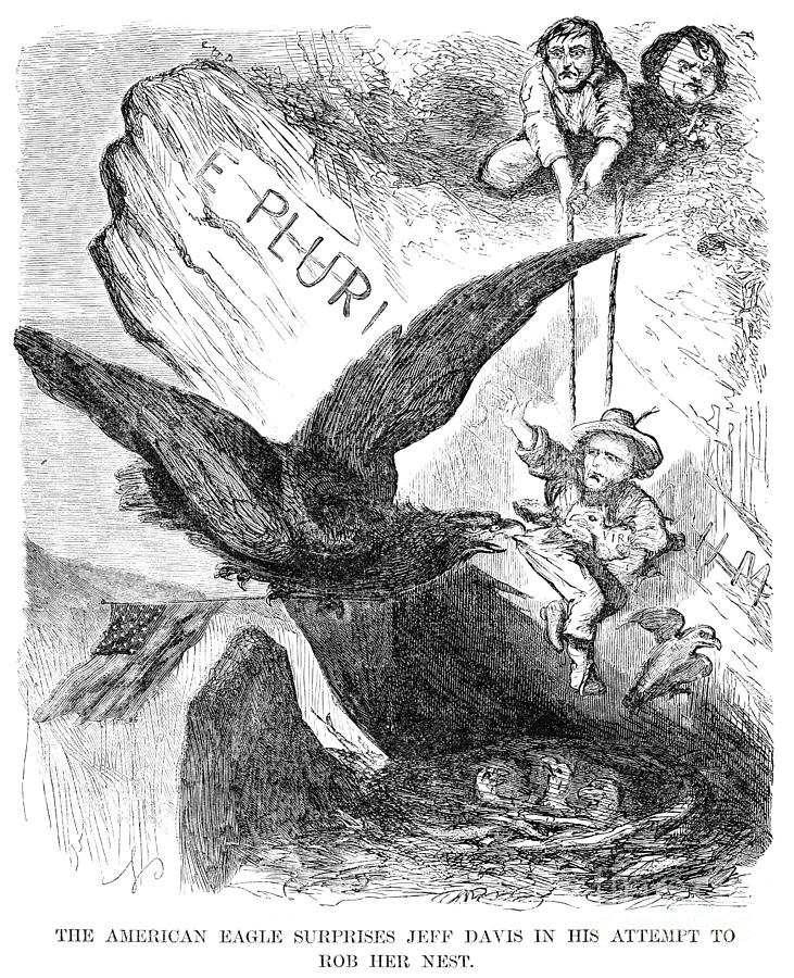 Eagle Drawing - Civil War Cartoon, 1861 by Granger