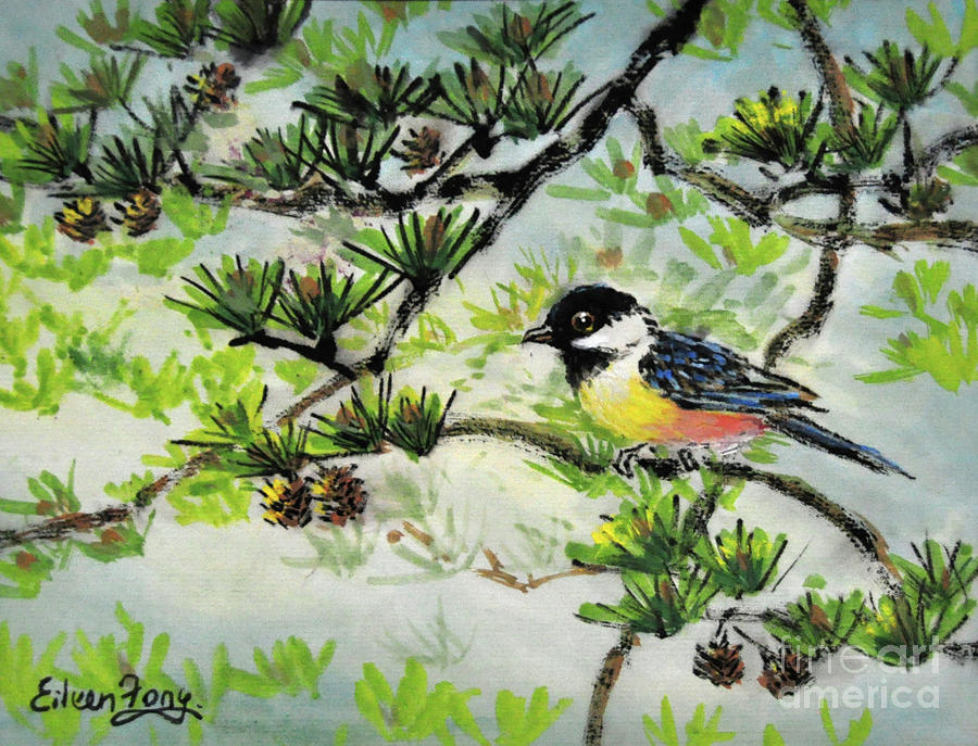 Cjhickadee in Pine Tree Painting by Eileen  Fong