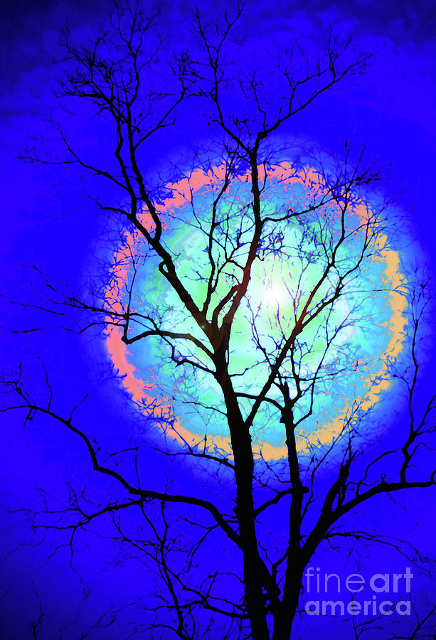 Clair De Lune Digital Art By Crystal Lapoint