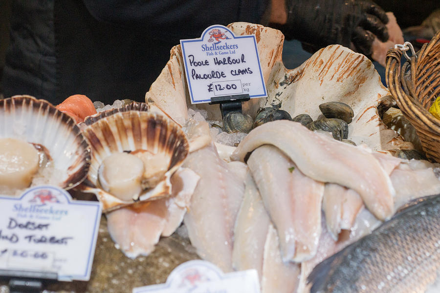 Clam in Borough Market, London Photograph by Moonstone Images
