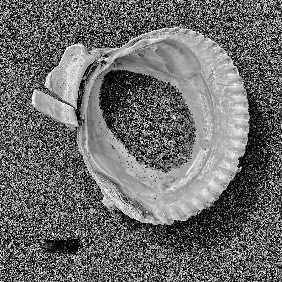 Clam Shell - Sandy Beach bw Photograph by Jerry Abbott