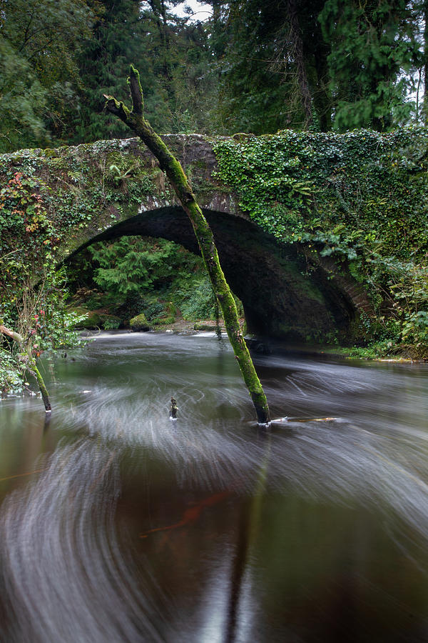 Clare Bridge swirl Photograph by Mark Callanan