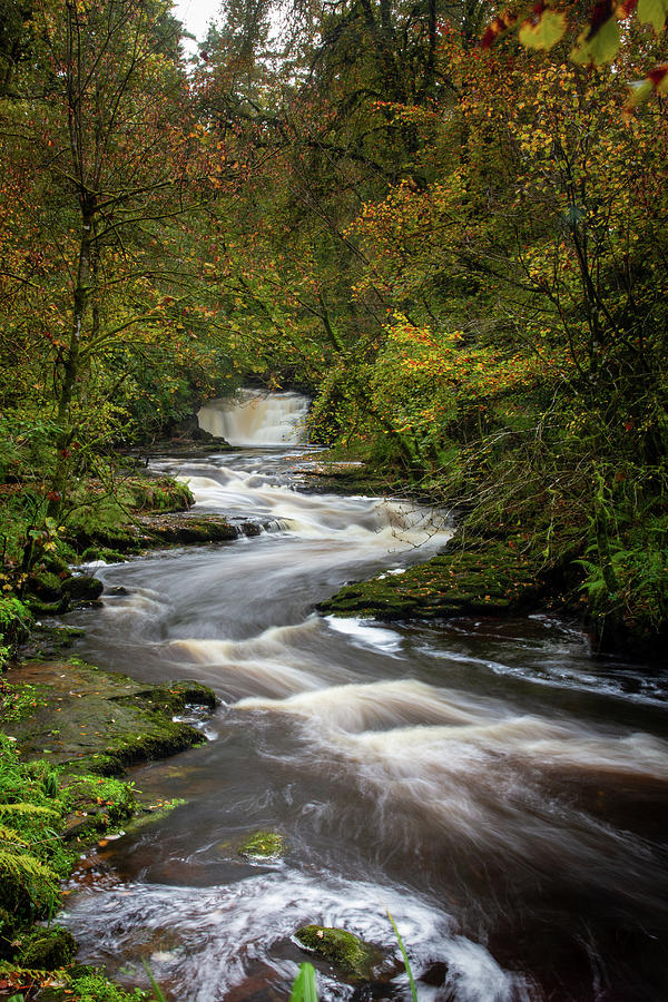 Clare Glens winding water 2022 Photograph by Mark Callanan