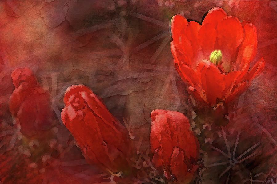 Claret Cup Color Photograph by Jerry Griffin