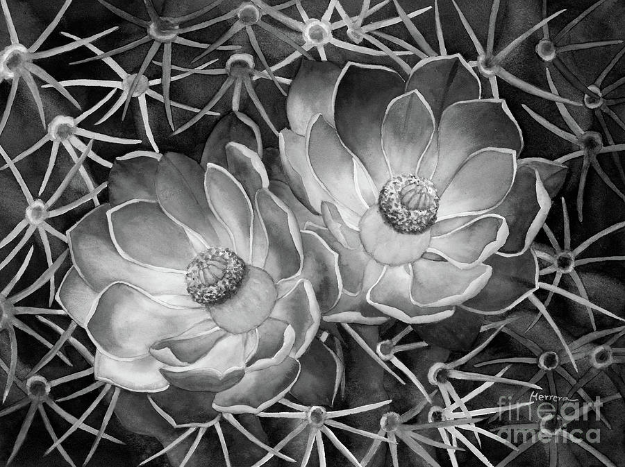 Claret Cup Duo in Black and white Painting by Hailey E Herrera