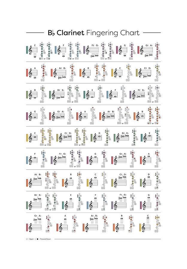 Clarinet Bb Fingering Chart Digital Art By Penny And Horse - Pixels