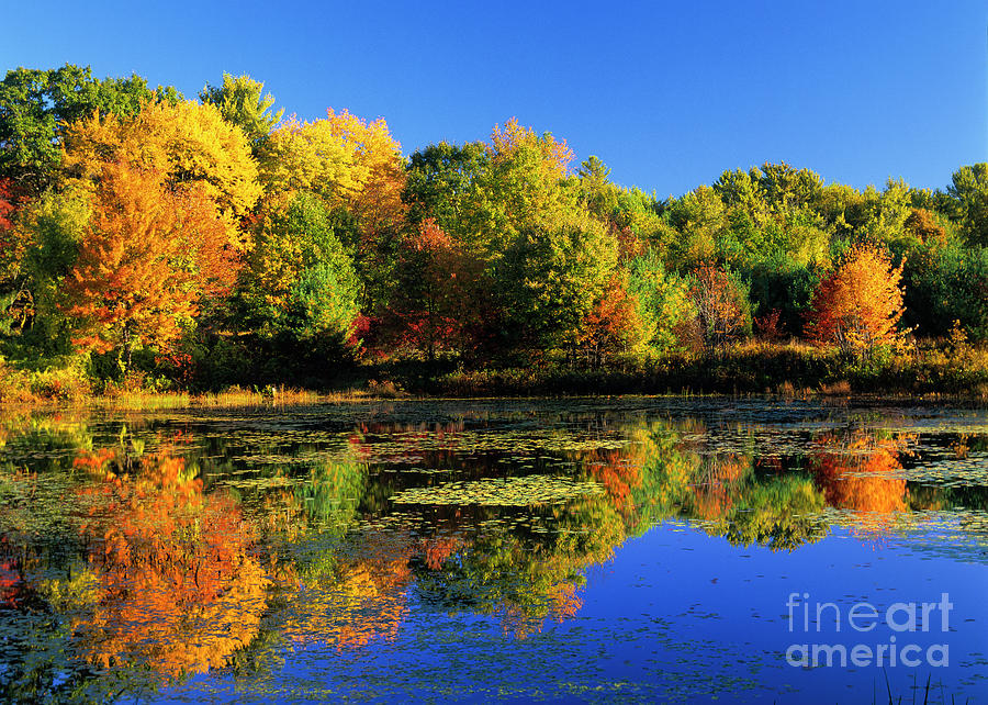 Clark Pond - Auburn New Hampshire  Photograph by Erin Paul Donovan