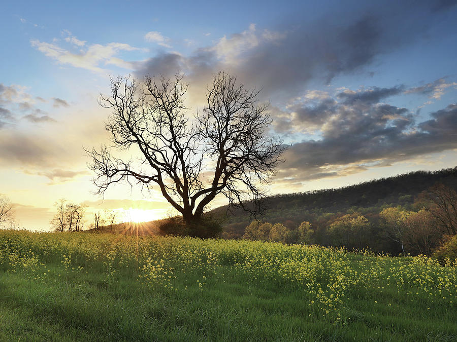 Clarks Valley Sunset In Spring Photograph By Lori Deiter Fine Art America