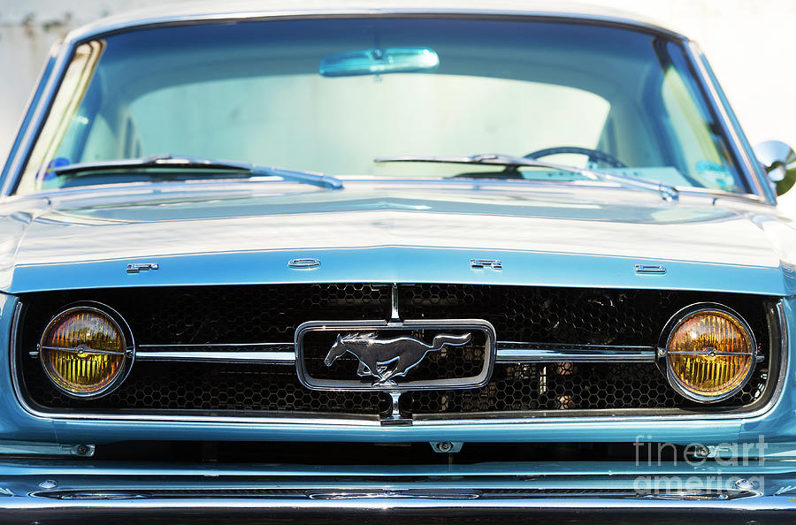 Classic 1965 Ford Mustang Muscle Car  Photograph by Tim Gainey