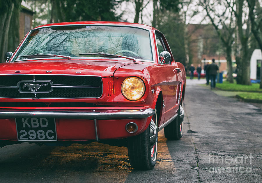 Classic 1965 Ford Mustang Photograph by Tim Gainey