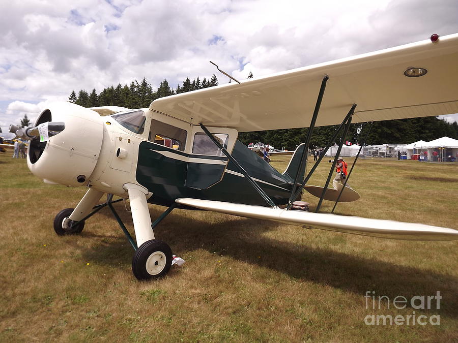 Classic Bi Wing Photograph By Bruce Borthwick   Fine Art America