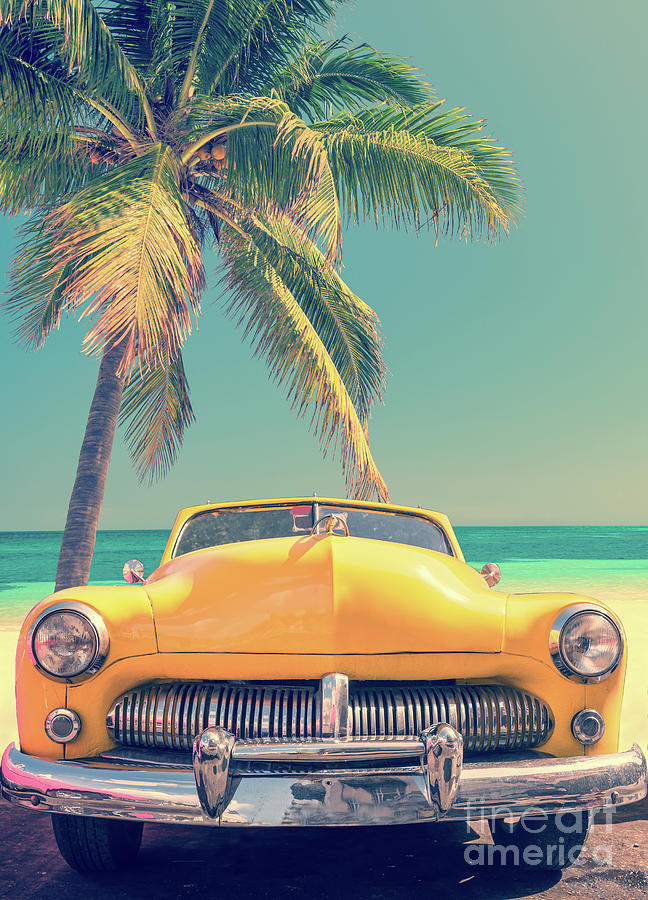 Classic car and palm tree Photograph by Delphimages Photo Creations