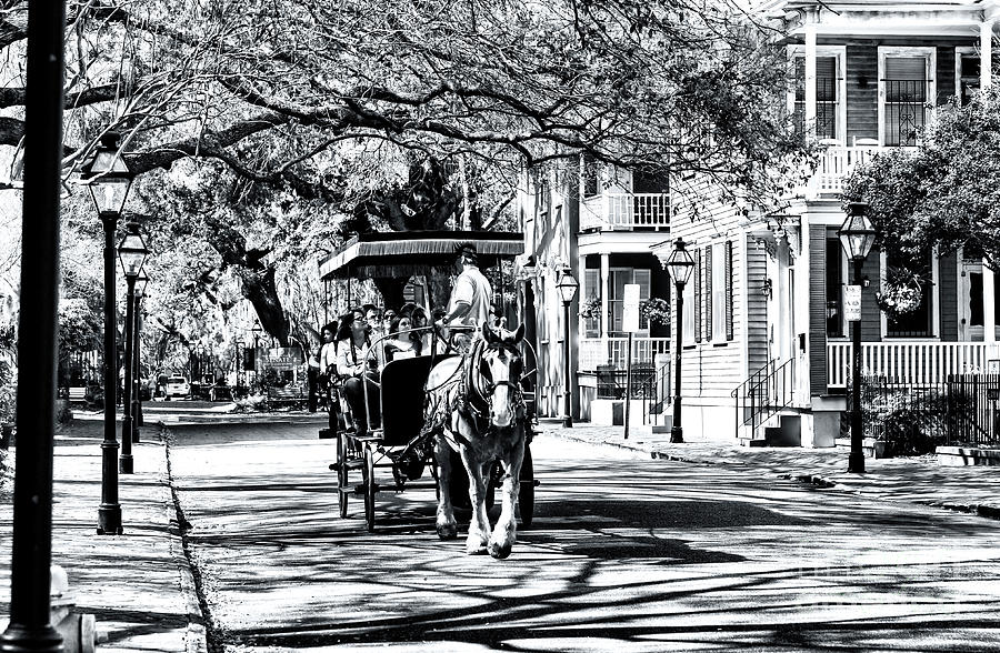 City Photograph - Classic Carriage Ride Through Charleston South Carolina by John Rizzuto