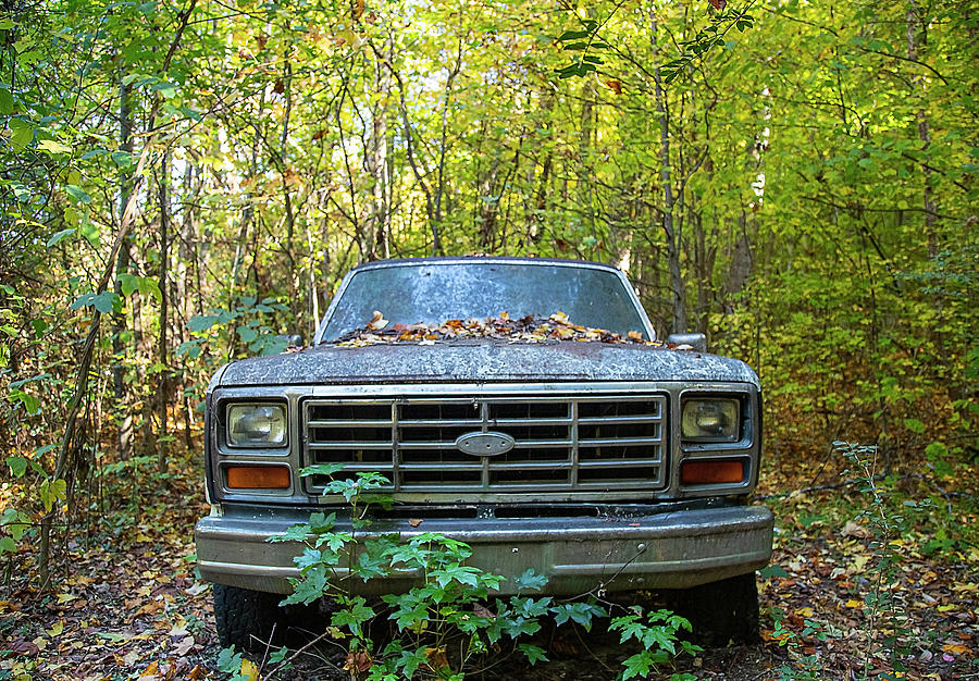 Classic Forest Truck Photograph by Dart Humeston