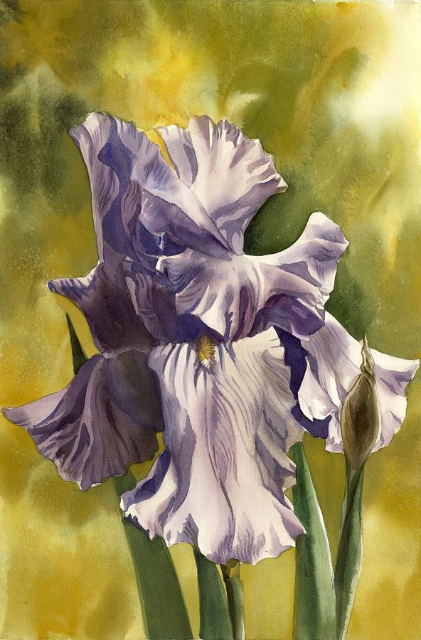 Classic Iris Painting by Alfred Ng - Fine Art America