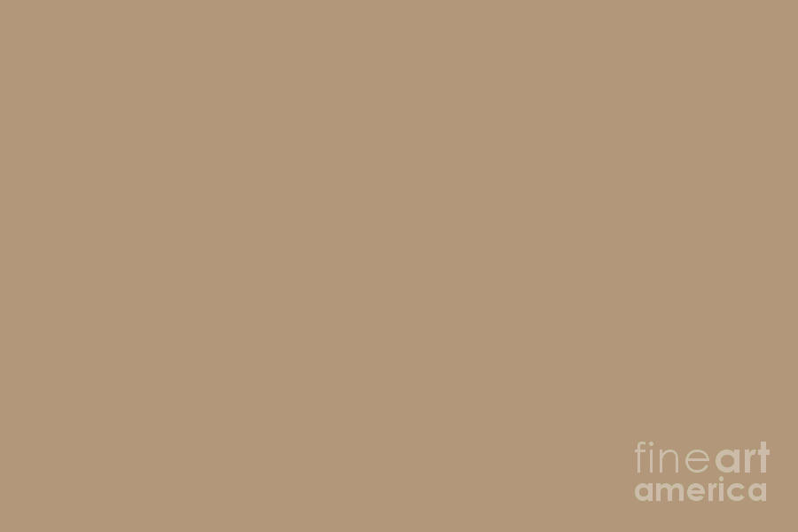 Classic Light Brown Solid Color Canoe SW 7724 Digital Art by PIPA Fine ...