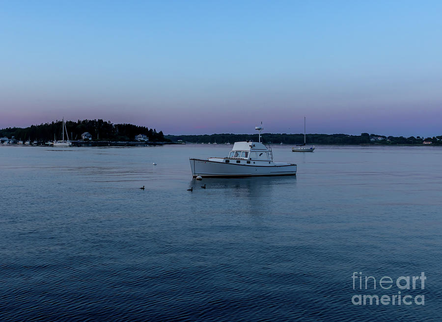 Classic Maine Night in Port Photograph by Elizabeth Dow