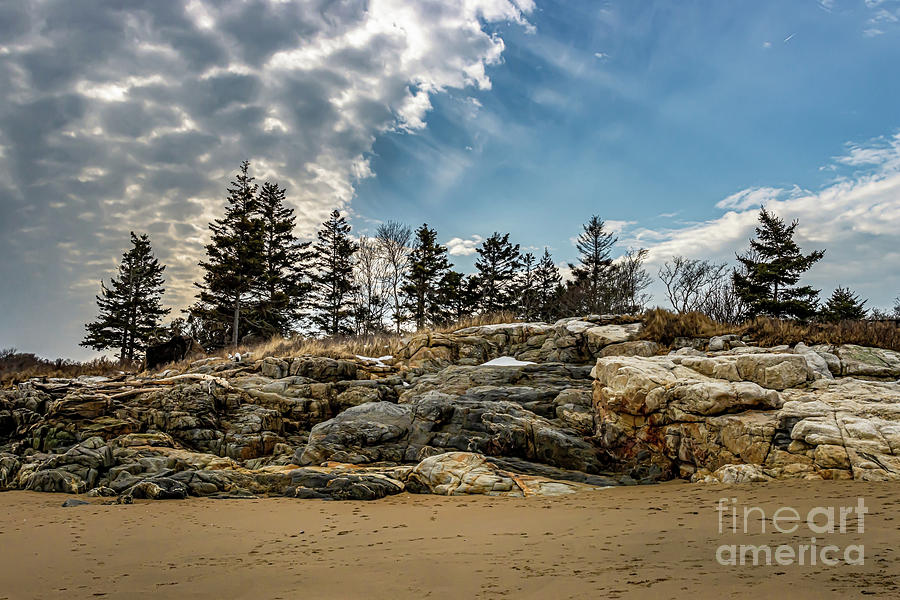 Classic Maine Rocky Shore Photograph by Elizabeth Dow