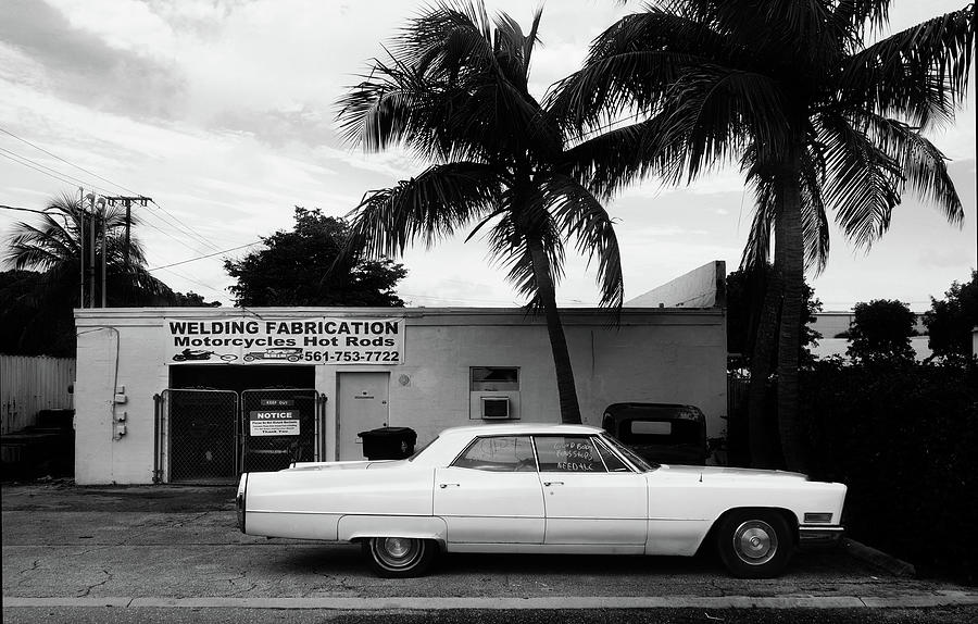 Classic Photograph by Luz Resto Classic Photograph by Luz Resto