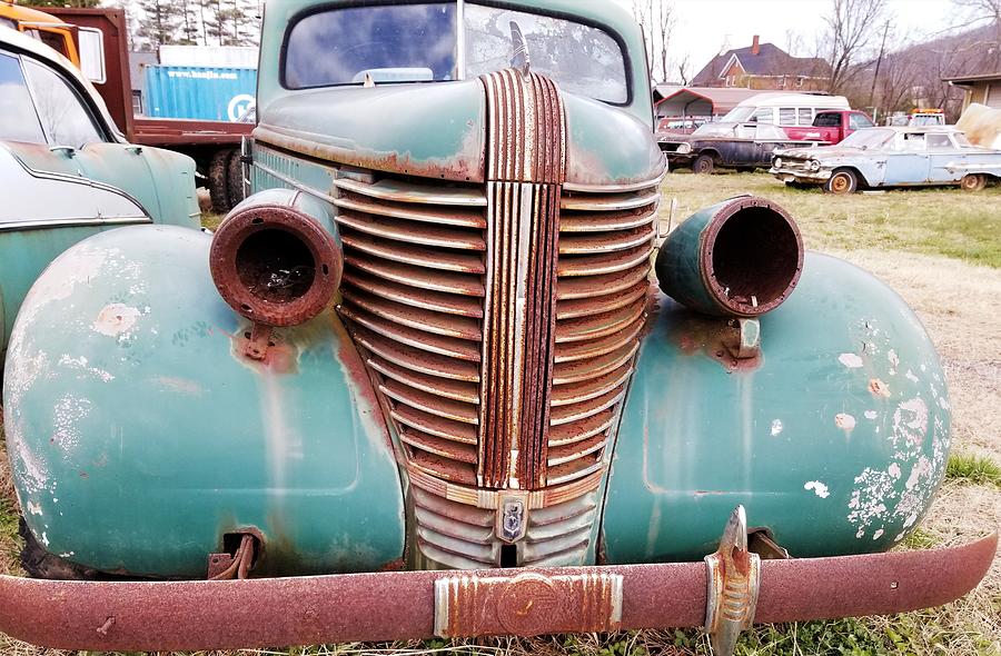 Classic old girl Photograph by Lauren Sage Classic old girl Photograph by Lauren Sage