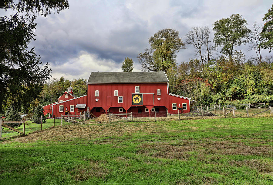Classic Red Barn and Scary Cat Photograph by Allen Beatty