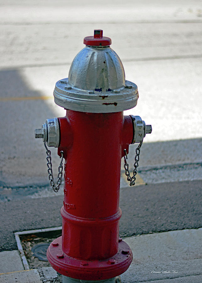 Classic Red Fire Hydrant Photograph by Connie Fox