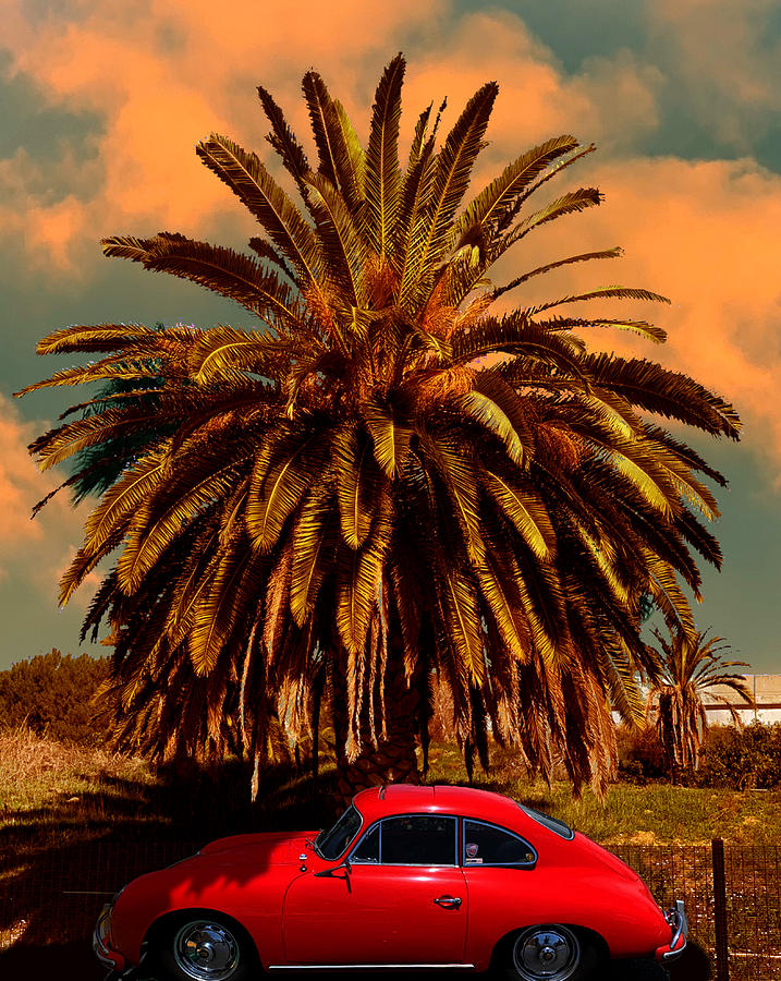 Classic Red Porsche And Palm Tree Photograph by Larry Butterworth