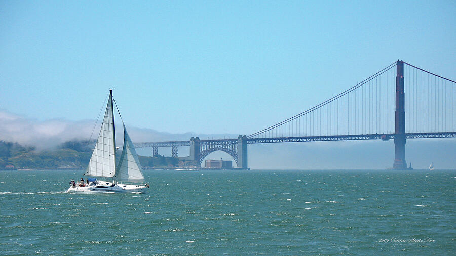 Classic San Francisco Bay Photograph by Connie Fox