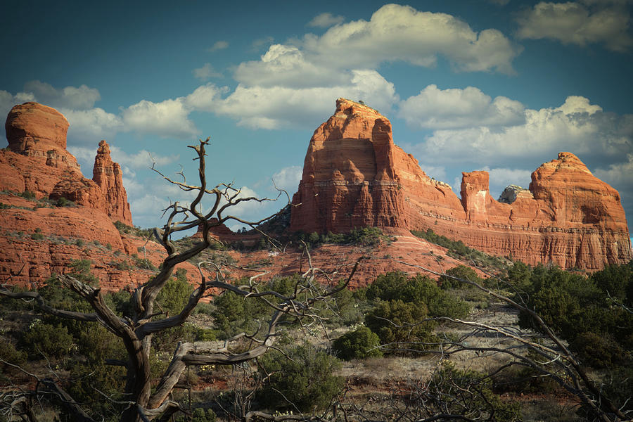 Classic Sedona Photograph by Myles Togo | Fine Art America