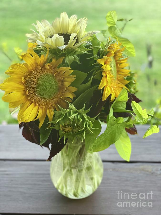 Classic Sunflowers in Vase Photograph by Carol Groenen