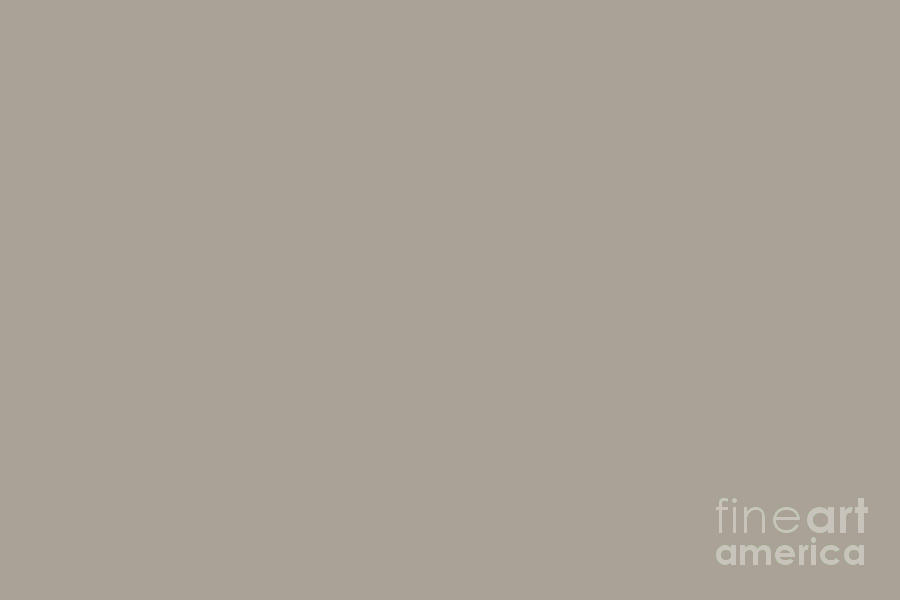 Classic Taupe Solid Color Digital Art by PIPA Fine Art - Simply Solid