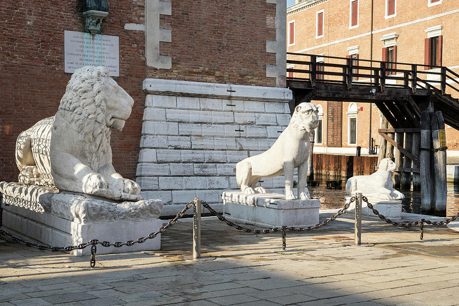 Classic Venetian - a Trio of Lion Statues at Arsenale di Venezia Photograph by Georgia Mizuleva
