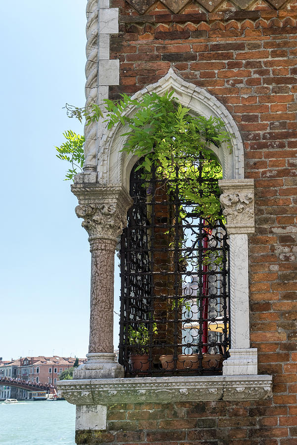 Classic Venetian - Flamboyant Gothic Window Overlooking the Grand Canal Photograph by Georgia Mizuleva