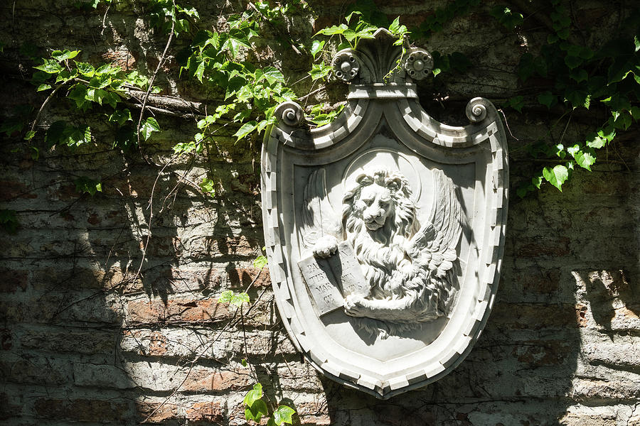 Classic Venetian - Saint Marks Winged Lion Marble Cameo Photograph by Georgia Mizuleva