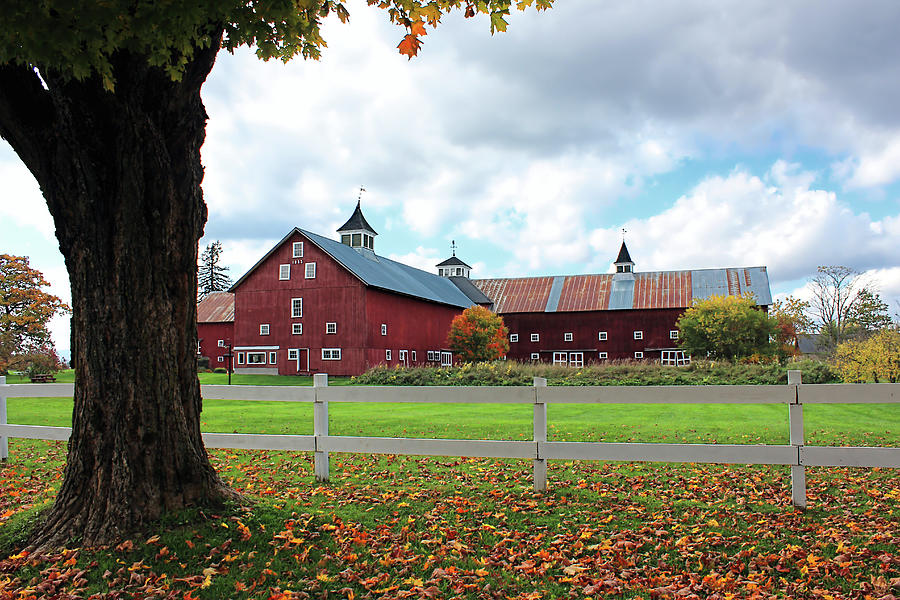 Fall Photograph - Classic Vermont Farm by William Alexander