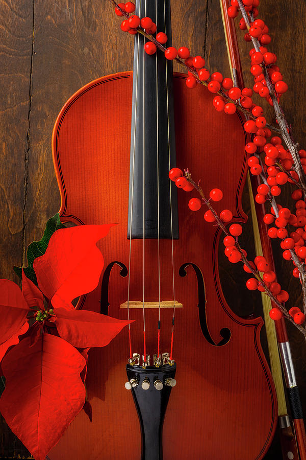 Classic Violin And Pointsettia Photograph by Garry Gay