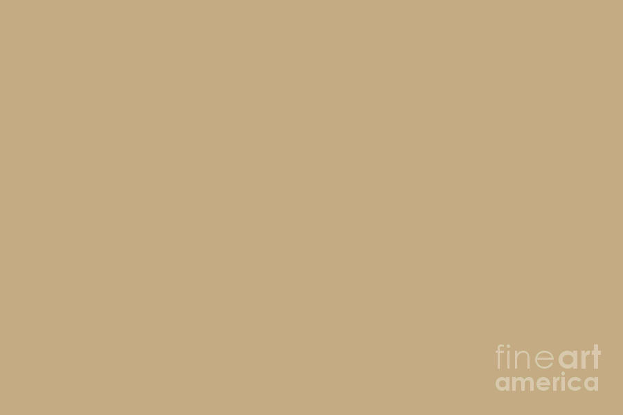 Derivación Abstracción A través de Classic Warm Beige Solid Color Shade - Hue - Colour Pairs Sherwin Williams  Dromedary Camel SW 7694 Digital Art by PIPA Fine Art - Simply Solid - Pixels