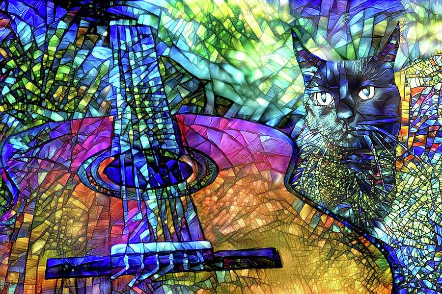 Classical Guitar and Black Cat Digital Art by Peggy Collins