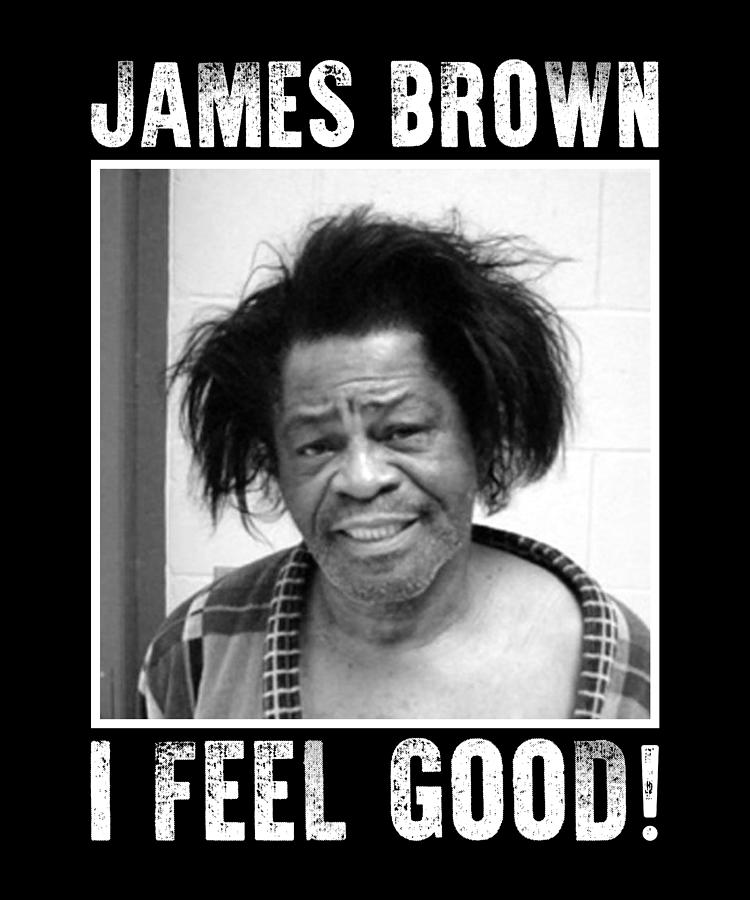 Classical james brown i feel good digital art by cynthia pottorff
