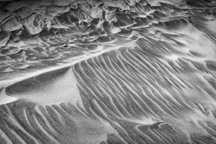 Clatsop Sand Ripples Abstract - One Photograph by Nikolyn McDonald