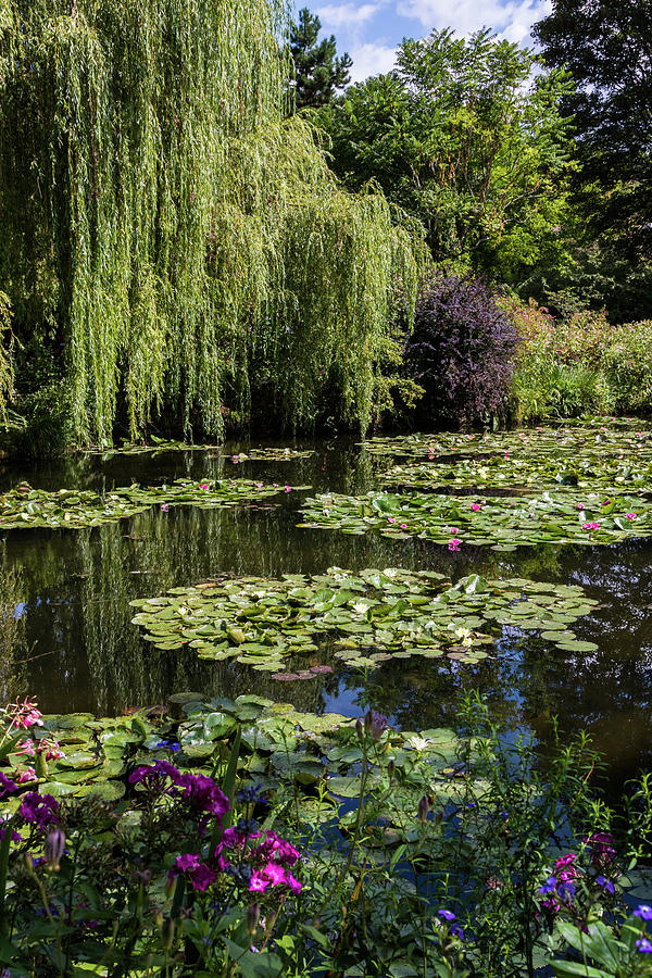 Claude Monet Garden pond #2, Giverny, France Photograph by Dan Hartford