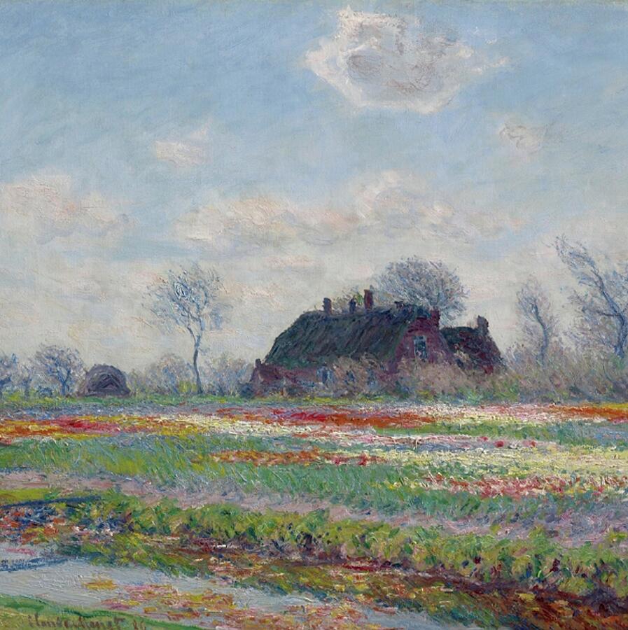 Claude Monet. Tulip Fields At Sassenheim. 1886 Digital Art By Tom Hill 