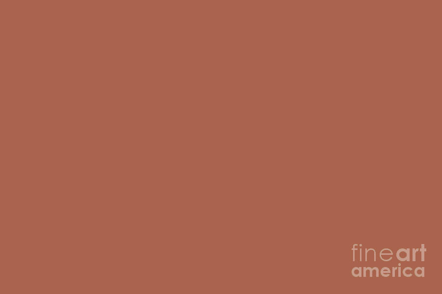 Clay Orange-Brown Solid Color Pairs Sherwin Williams Red Cent SW 6341 Digital Art by PIPA Fine Art - Simply Solid