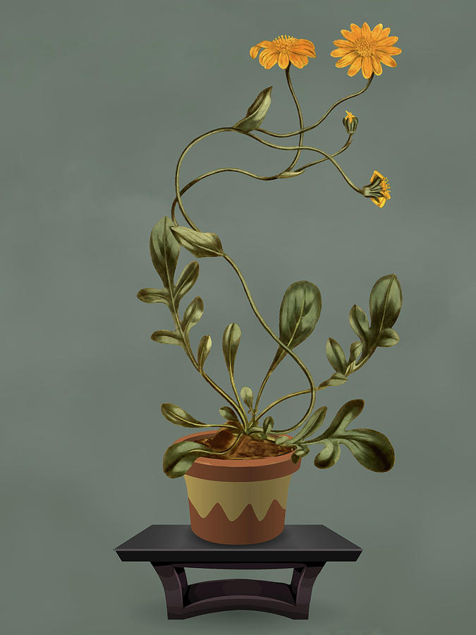 Clay Pot with A wonderful twisty stem plant Mixed Media by David Dehner
