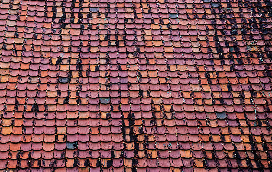 Clay Shingles Photograph by Rose Guinther