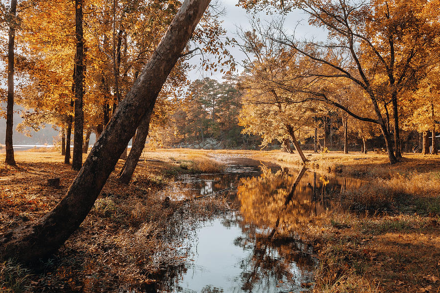 Clayton Lake Photograph by Iris Greenwell