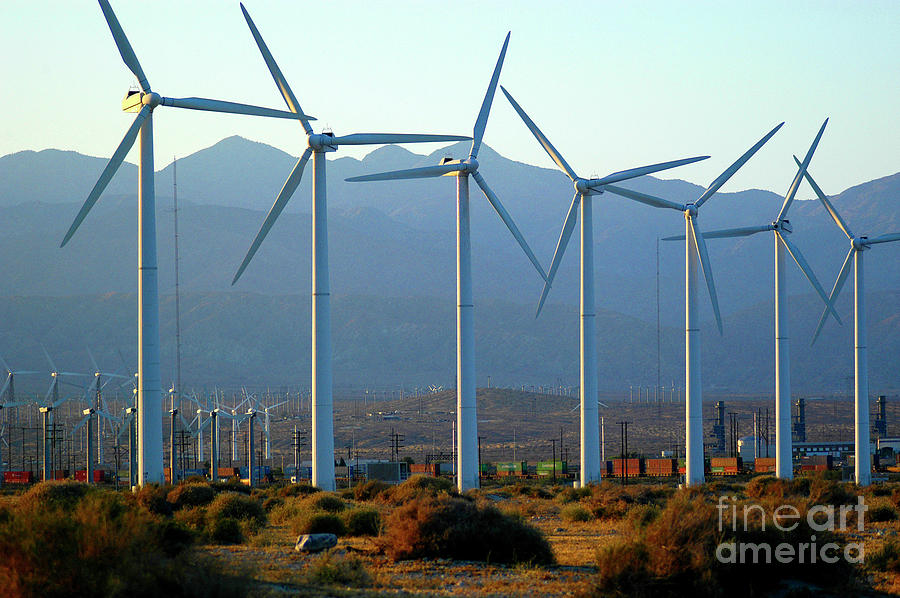 Clean energy generated by wind turbines in Palm Springs, California. Photograph by Gunther Allen